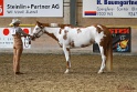 22-APHA HOTC_037